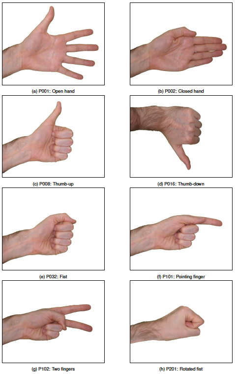 SDK Supported poses